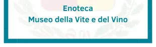 enoteca museo vite e vino