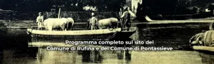 corso della nave locandina