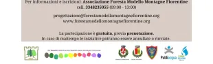 Tre passi a monte
