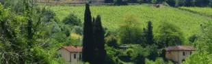 Selvapiana