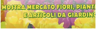 Descrizione immagine non disponibile