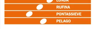 Descrizione immagine non disponibile