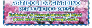 Descrizione immagine non disponibile
