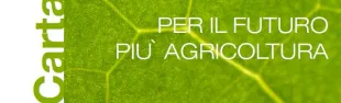 Descrizione immagine non disponibile