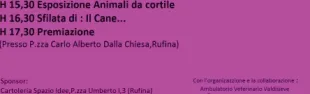 Descrizione immagine non disponibile