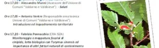 Descrizione immagine non disponibile