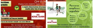 Descrizione immagine non disponibile
