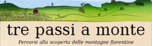 Descrizione immagine non disponibile