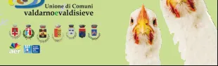 Descrizione immagine non disponibile