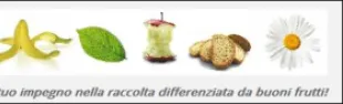 Descrizione immagine non disponibile