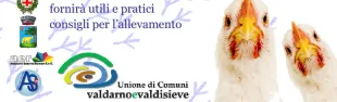Descrizione immagine non disponibile