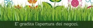 Descrizione immagine non disponibile