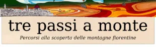 Descrizione immagine non disponibile