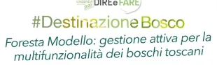 Descrizione immagine non disponibile