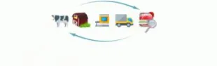 Descrizione immagine non disponibile