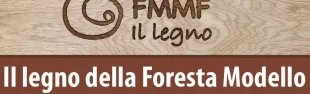 Descrizione immagine non disponibile
