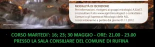 Descrizione immagine non disponibile
