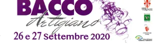 Descrizione immagine non disponibile