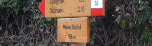 Descrizione immagine non disponibile
