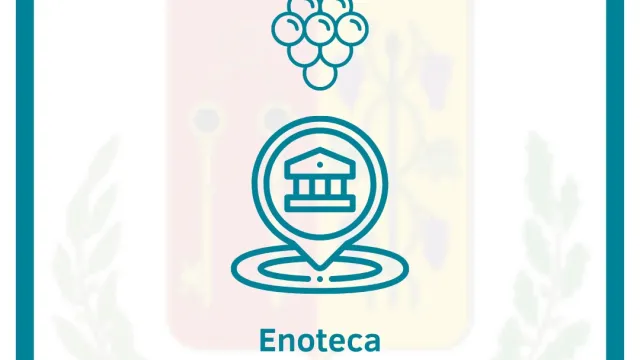 enoteca museo vite e vino