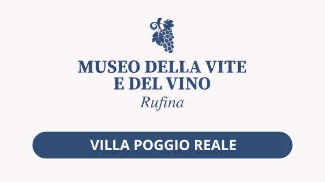Museo Vite Vino