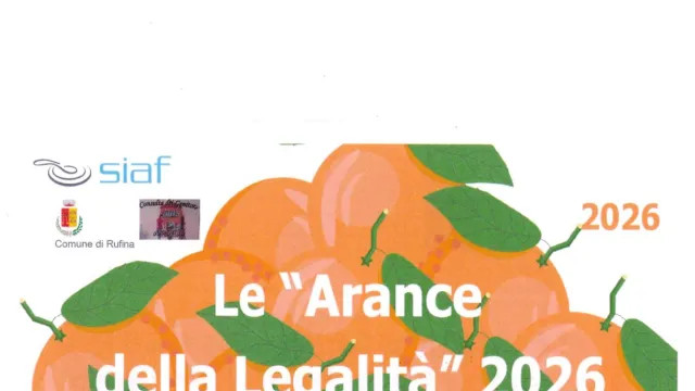 Le arance della legalità
