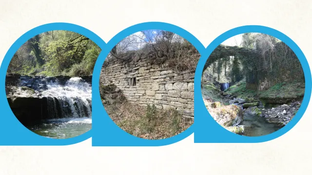 Acqua, natura, storia il cammino del torrente Rufina.png