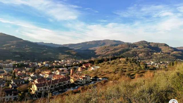 Vivi Rufina