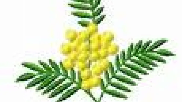 Descrizione immagine non disponibile