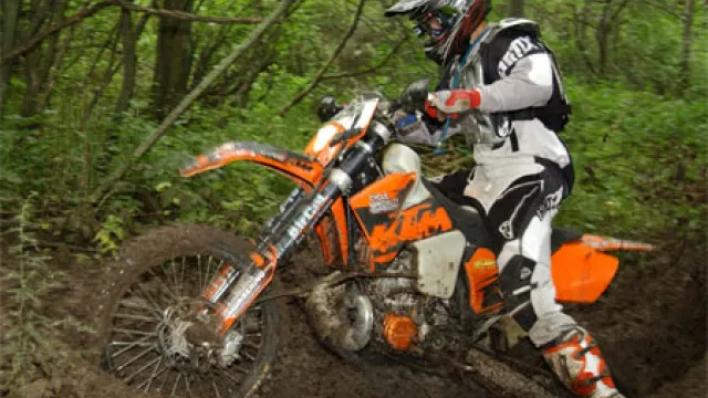 Descrizione immagine non disponibile