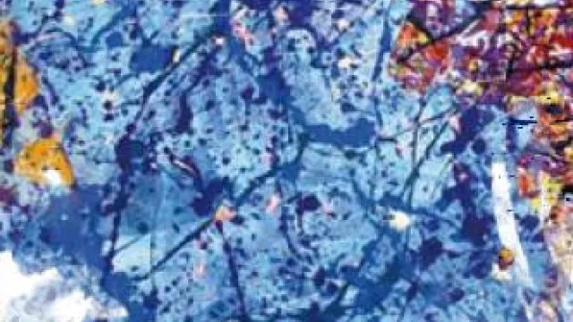 Descrizione immagine non disponibile