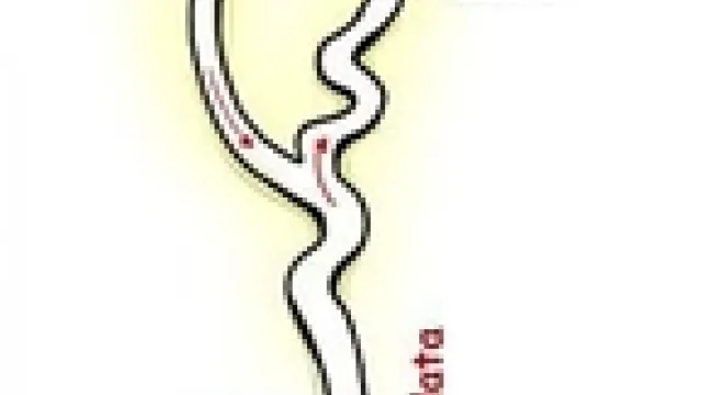 Descrizione immagine non disponibile