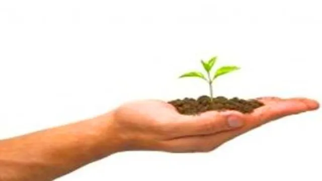 Descrizione immagine non disponibile