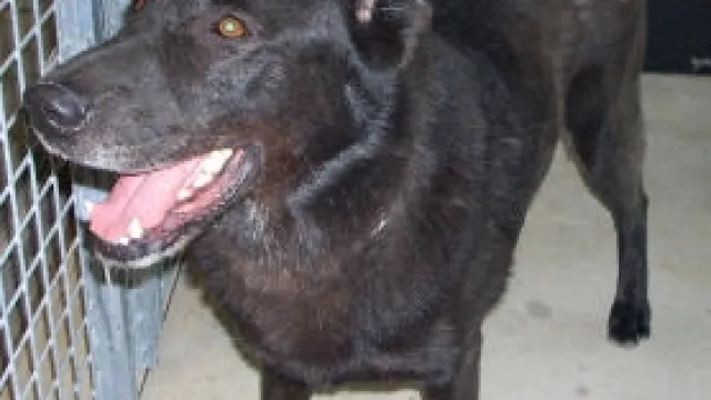 Descrizione immagine non disponibile