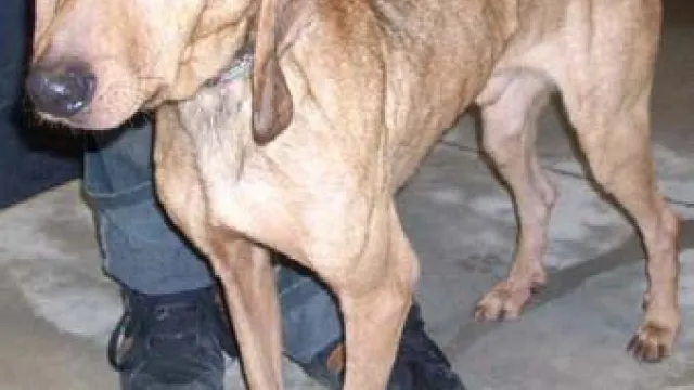 Descrizione immagine non disponibile