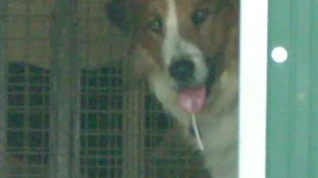 Descrizione immagine non disponibile