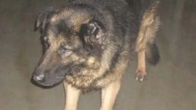 Descrizione immagine non disponibile