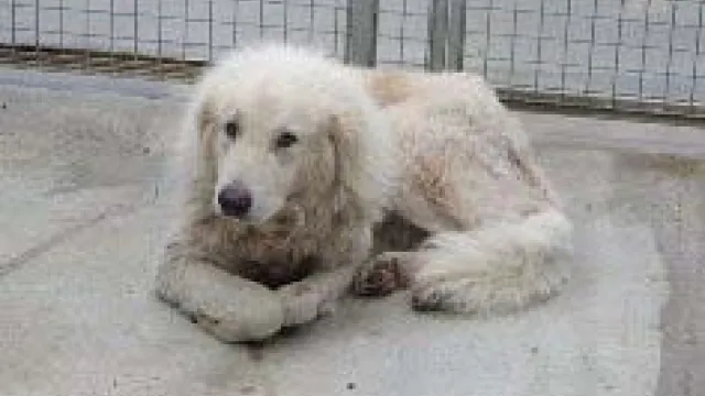 Descrizione immagine non disponibile