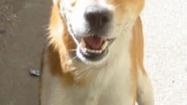 Descrizione immagine non disponibile