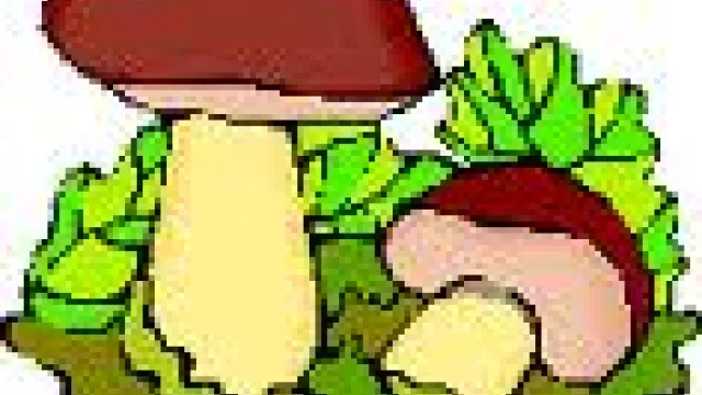 Descrizione immagine non disponibile