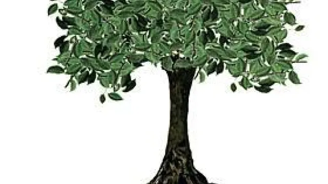 Descrizione immagine non disponibile