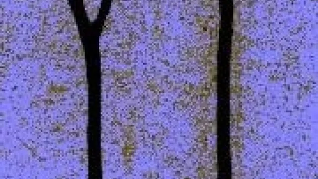 Descrizione immagine non disponibile