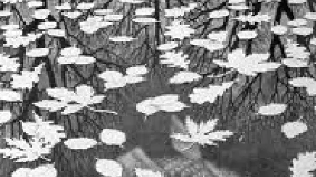 Descrizione immagine non disponibile