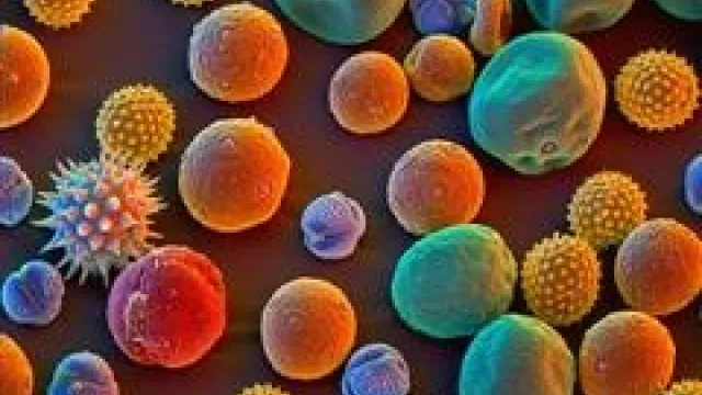 Descrizione immagine non disponibile