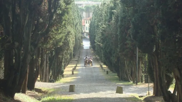 Descrizione immagine non disponibile