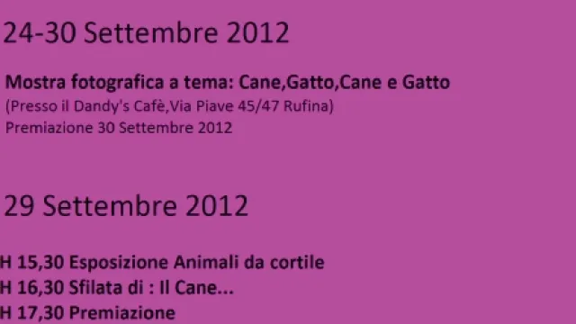 Descrizione immagine non disponibile