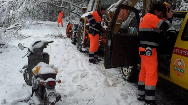 Descrizione immagine non disponibile