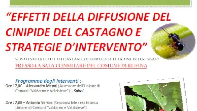 Descrizione immagine non disponibile