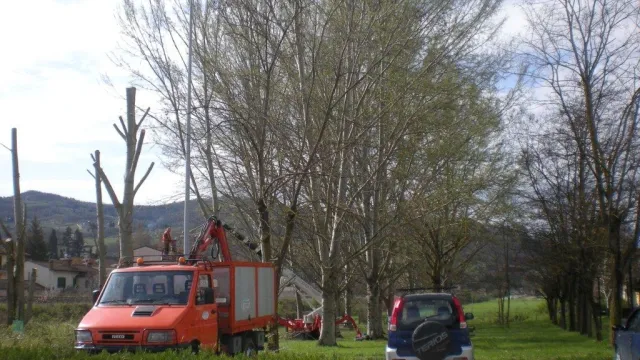 Descrizione immagine non disponibile