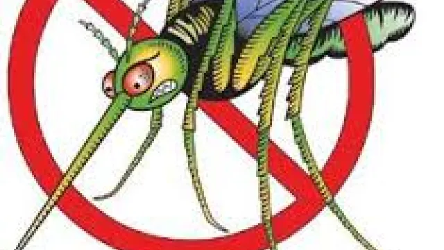 Descrizione immagine non disponibile